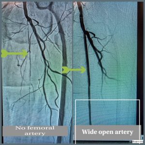 case of the day, Dr. Bisharat