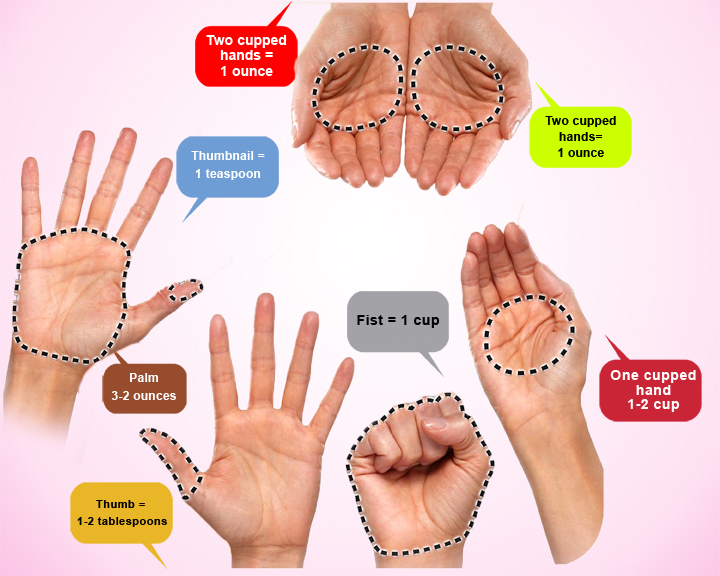 portion sizes
